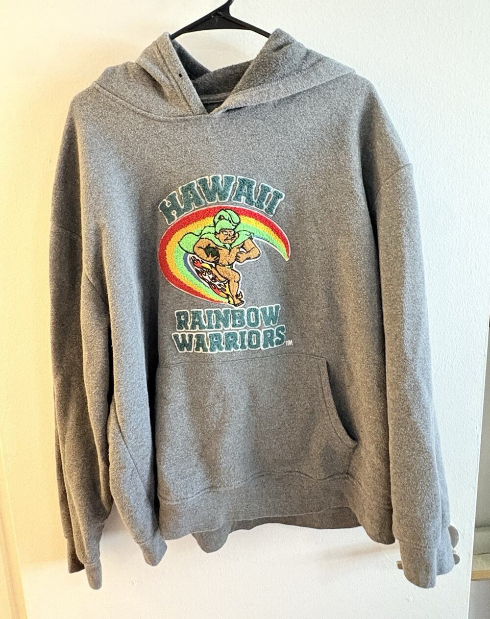 University of Hawaii Rainbow Warriors Gray Graphic Fleece Hoodie Pockets Men's L